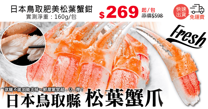 日本鳥取肥美松葉蟹鉗