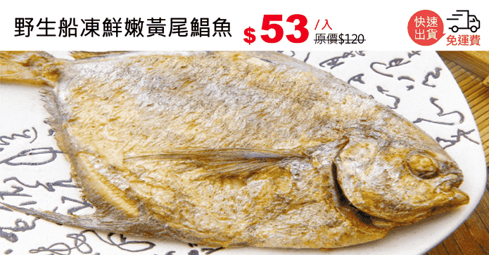 野生船凍鮮嫩黃尾鯧魚