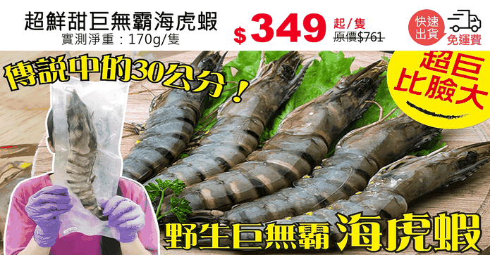 超鮮甜巨無霸海虎蝦