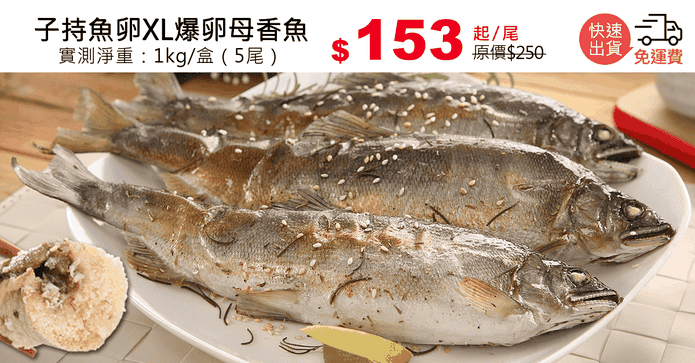 子持魚卵XL爆卵母香魚