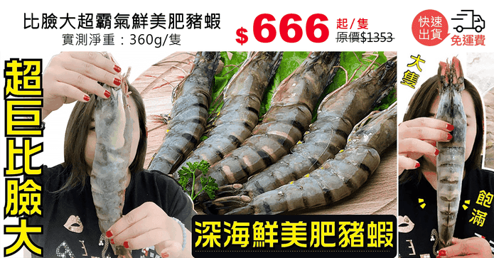 比臉大超霸氣鮮美肥豬蝦