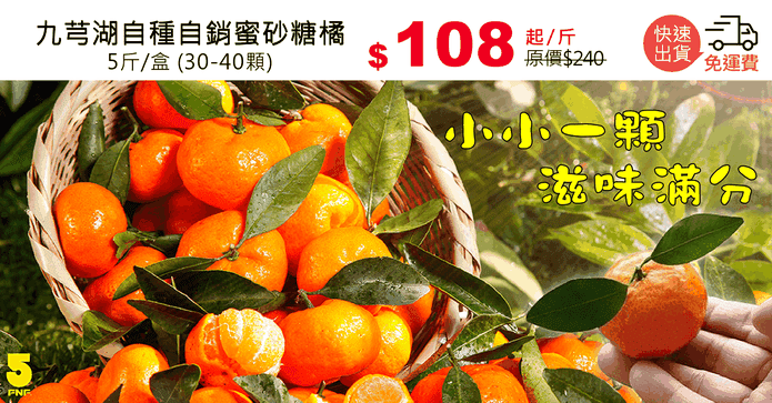 九芎湖自種自銷蜜砂糖橘