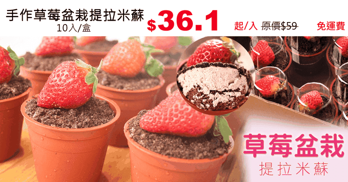 手作草莓盆栽提拉米蘇