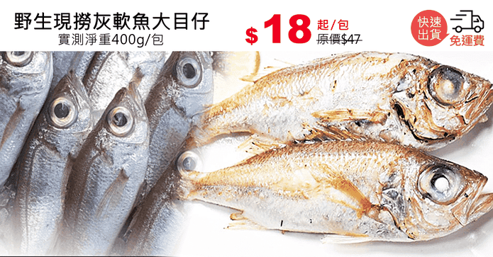 野生現撈灰軟魚大目仔