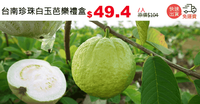 台南珍珠白玉芭樂禮盒