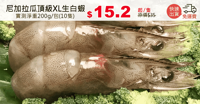 尼加拉瓜頂級XL生白蝦