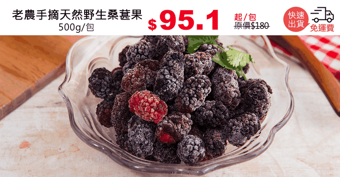 老農手摘天然野生桑葚果