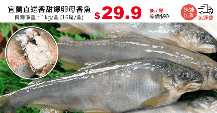 宜蘭直送香甜爆卵母香魚