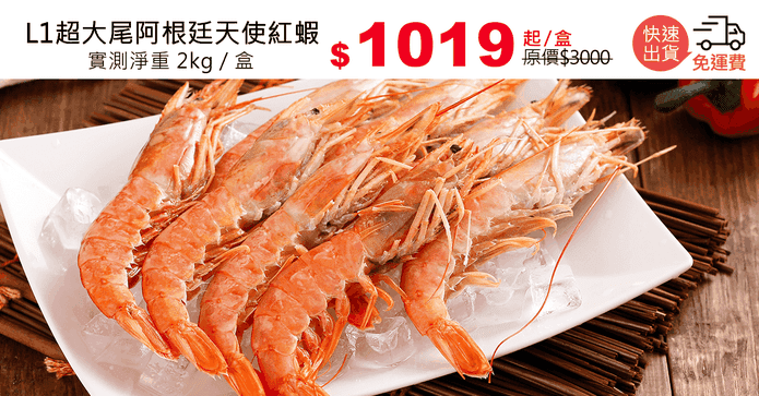 L1超大尾阿根廷天使紅蝦