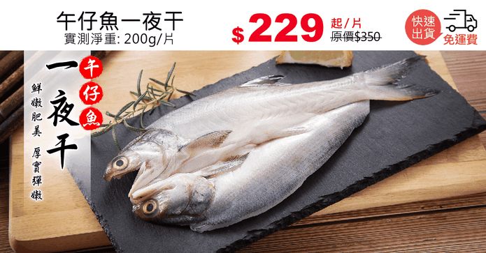 厚實彈嫩午仔魚一夜干