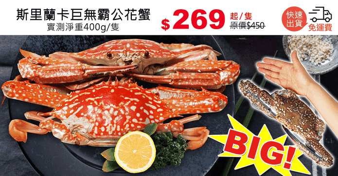 斯里蘭卡巨無霸公花蟹
