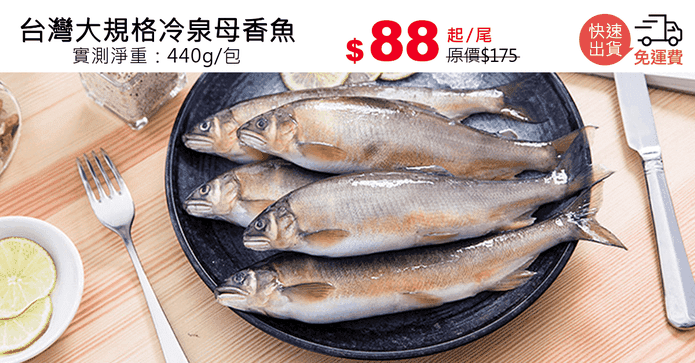台灣大規格冷泉母香魚