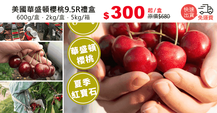 美國華盛頓櫻桃9.5R禮盒