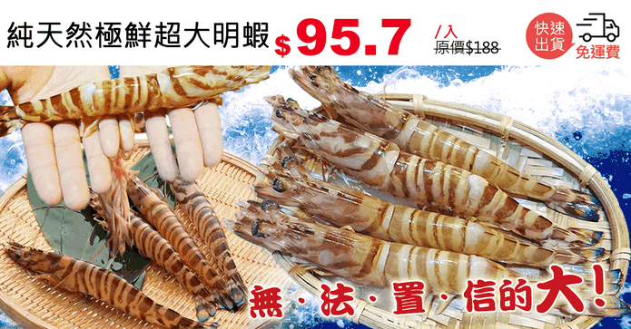 純天然極鮮超大明蝦