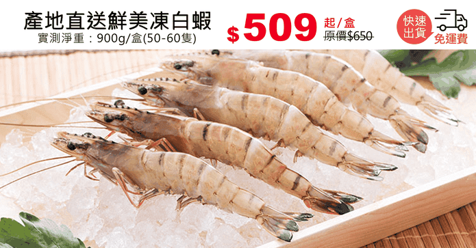 產地直送鮮美凍白蝦