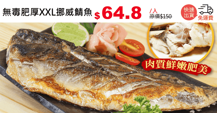 無毒肥厚XXL挪威鯖魚