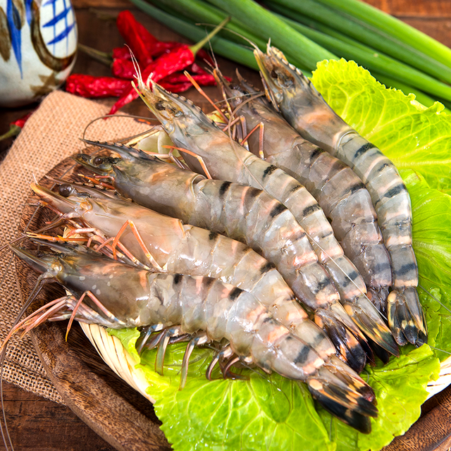 顶级野生鲜冻大草虾